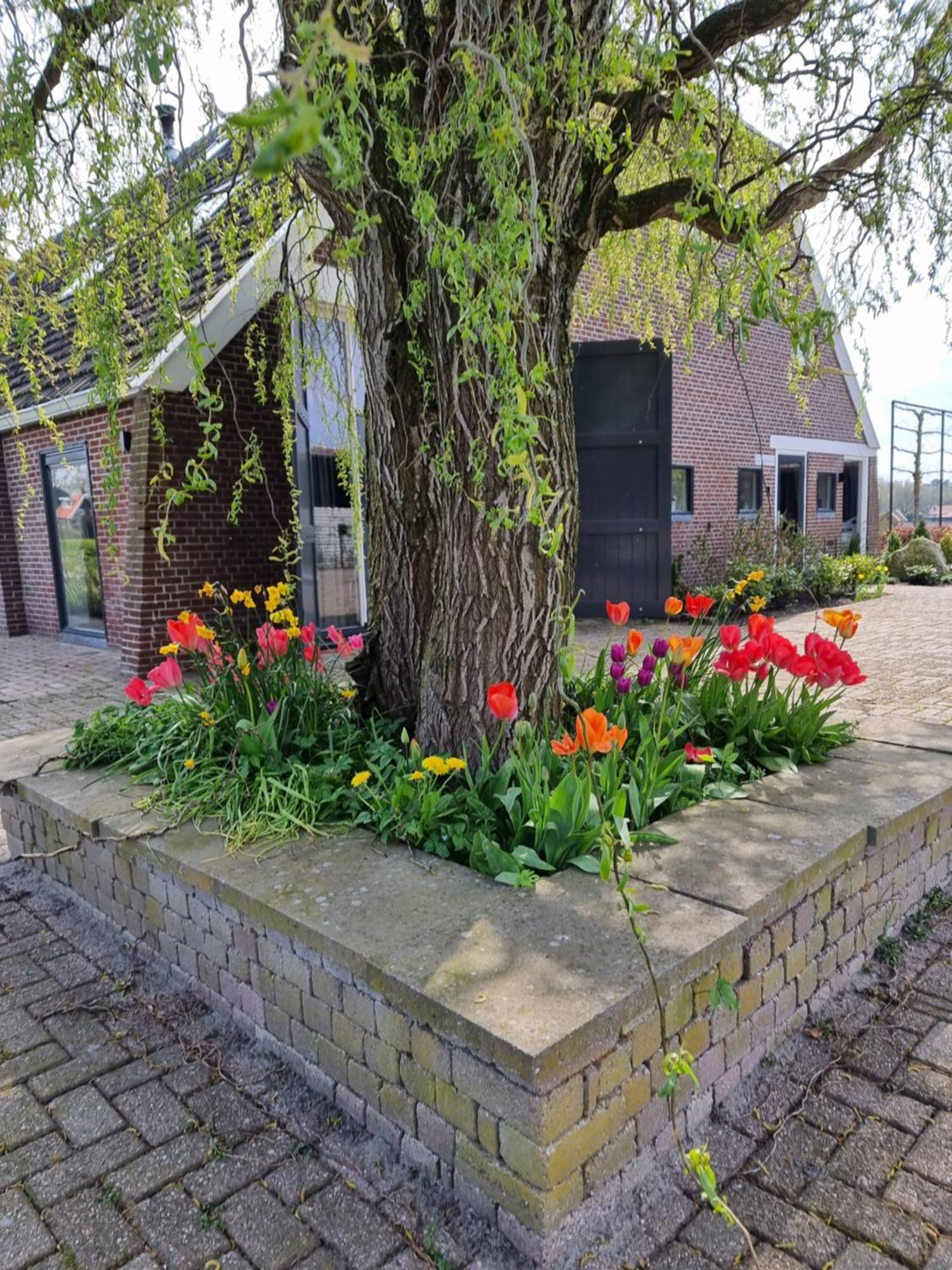 De Schotse Hooglander Bed & Breakfast Smilde Eksteriør bilde